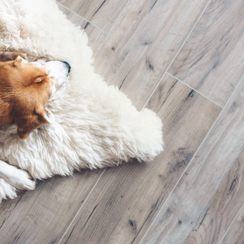 is vinyl or laminate better for dogs